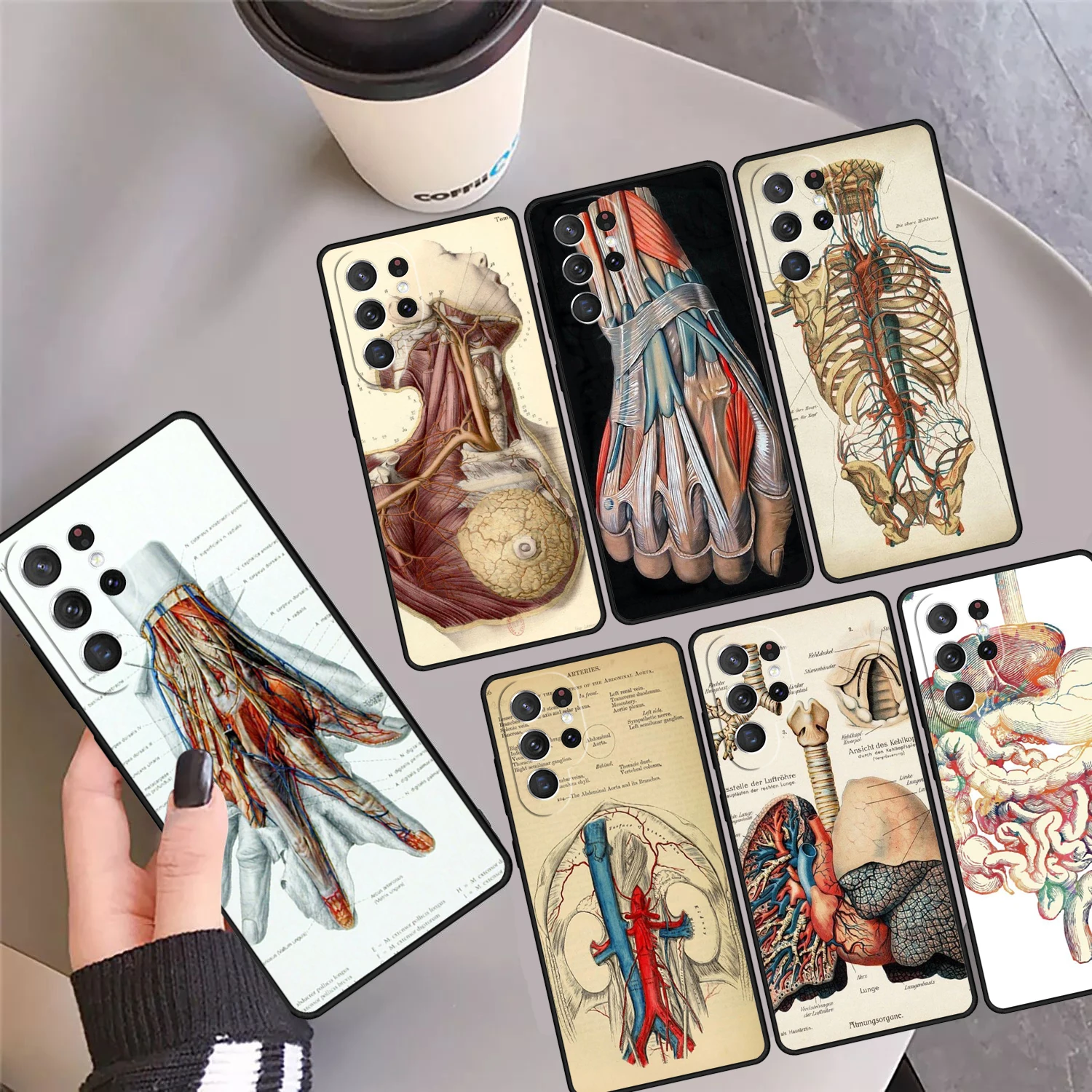 Medical Human Organs Meridian Art Phone Case Cover For Samsung Galaxy S24 S25 Ultra 23 S22 Plus S21 FE S20 Note 10 Pro 20