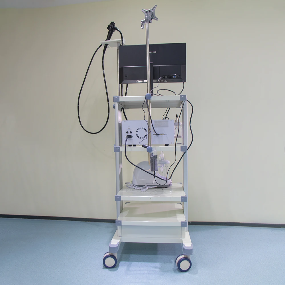 Veterinary electronic endoscopes for large animals - durable metal construction, precision diagnostic tools for livestock care