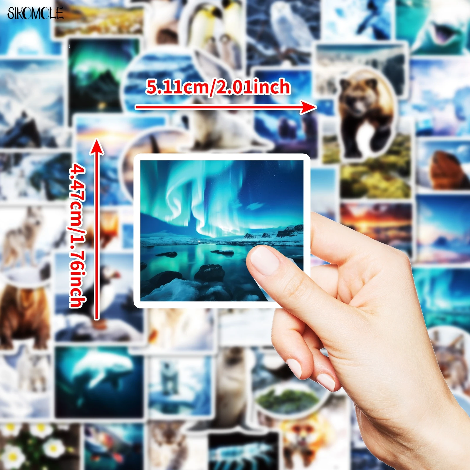 10/30/50Pcs Beautif…