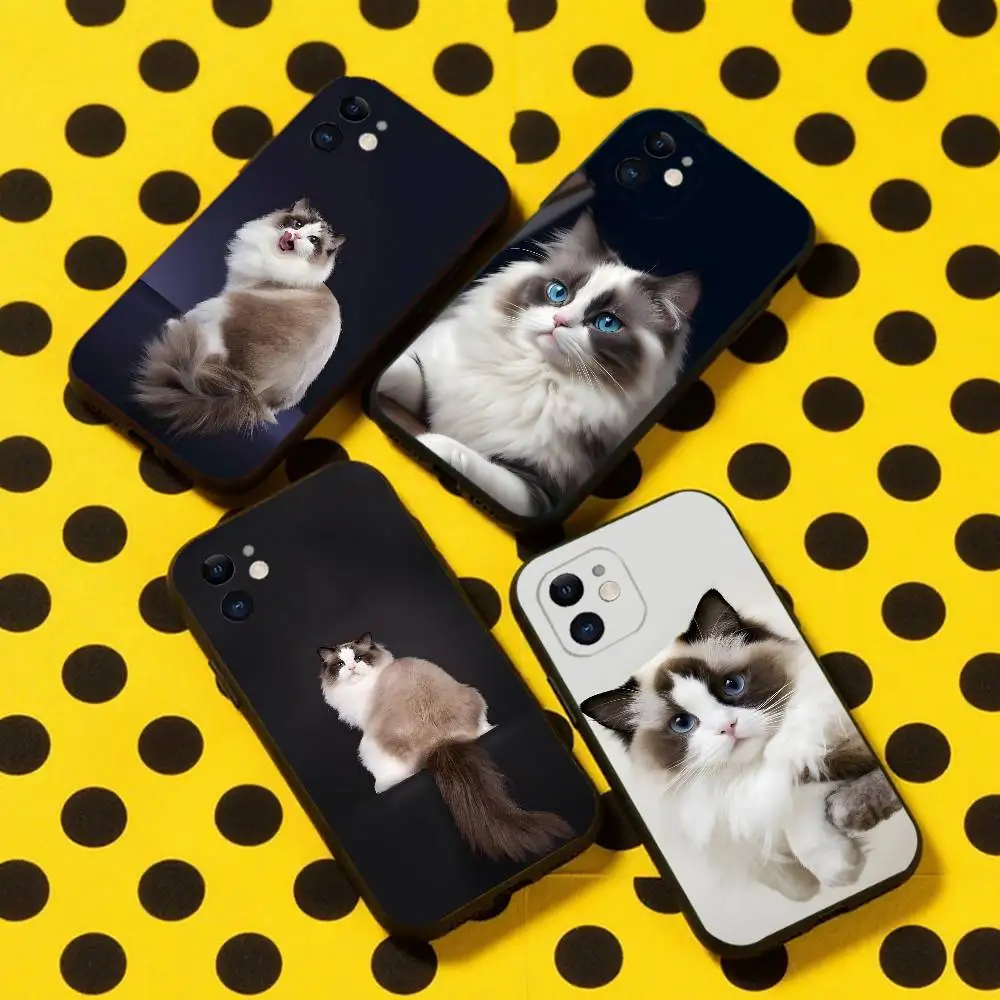 

Ragdoll Kitten Cat Phone Case For iPhone 16,15,14,13,12,11,Pro,Max,Plus,X,XS,XR,SE,8,7,Mini,Soft Silicone Black Case