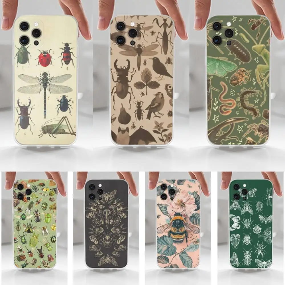 

Biology Art Bugs And Insects Phone For iPhone 16,15,14,13,12,11 Plus,Pro,Max,XR,XS,X,7,8 Plus,SE,Mini,Transparent,Silicone Case