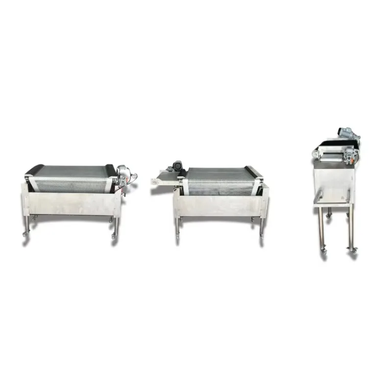 Factory Price 1 Ton/Hour Blueberry Size Grader Cherry Tomatoes Grader for Fresh Fruit Processing Plant