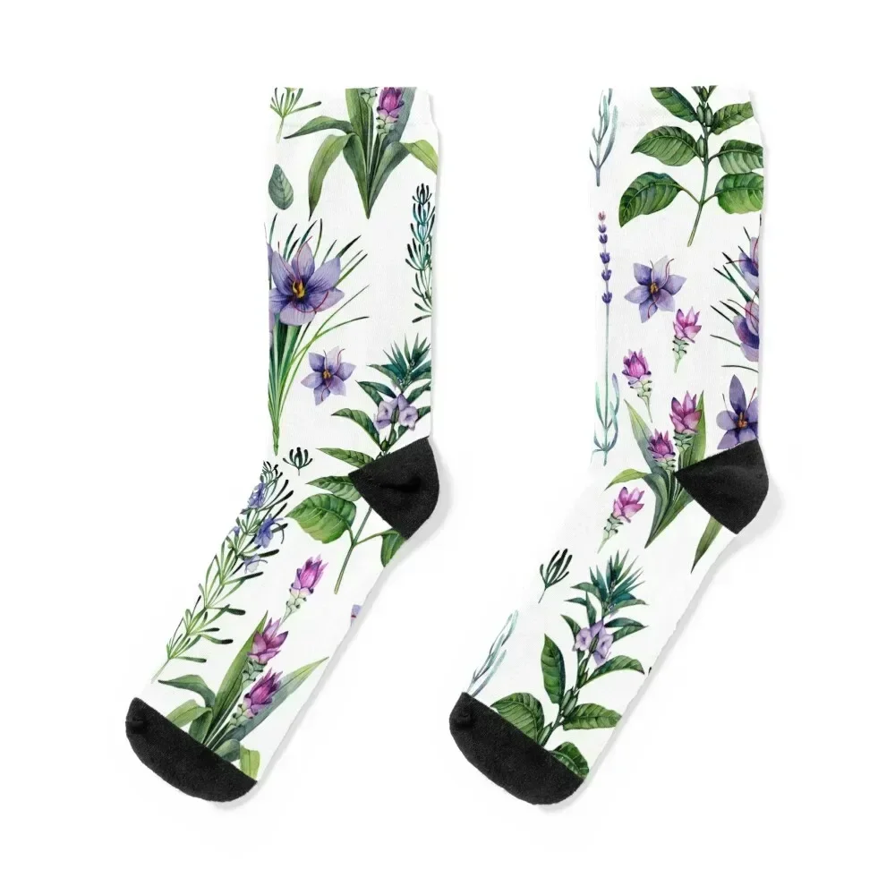 Watercolor botanical collection of herbs and spices Socks gifts colored Socks Female Men's