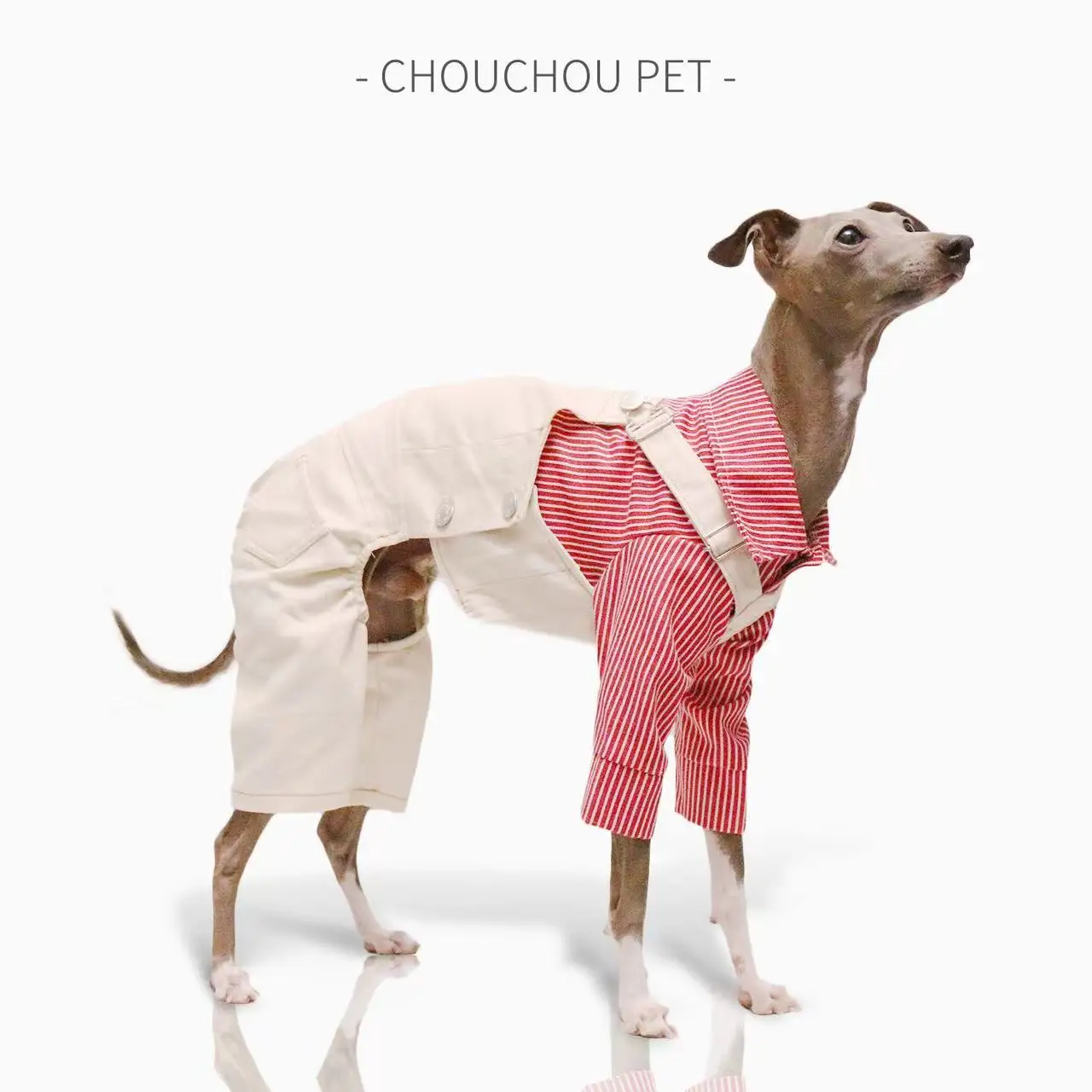 Big Dog White Denim Overalls Retro Classic Leg Protector Italian Greyhound Whippet Small and Medium Dog Pants