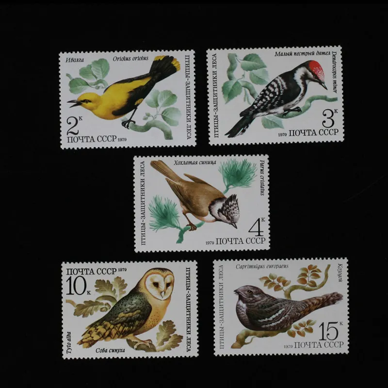Briefmarken der Sowjetunion, Postversandjahr 1979, Benefical Birds, kompletter Satz mit 5 neuen Briefmarken zum Sammeln, Material für Scrapbooking – Detail 1