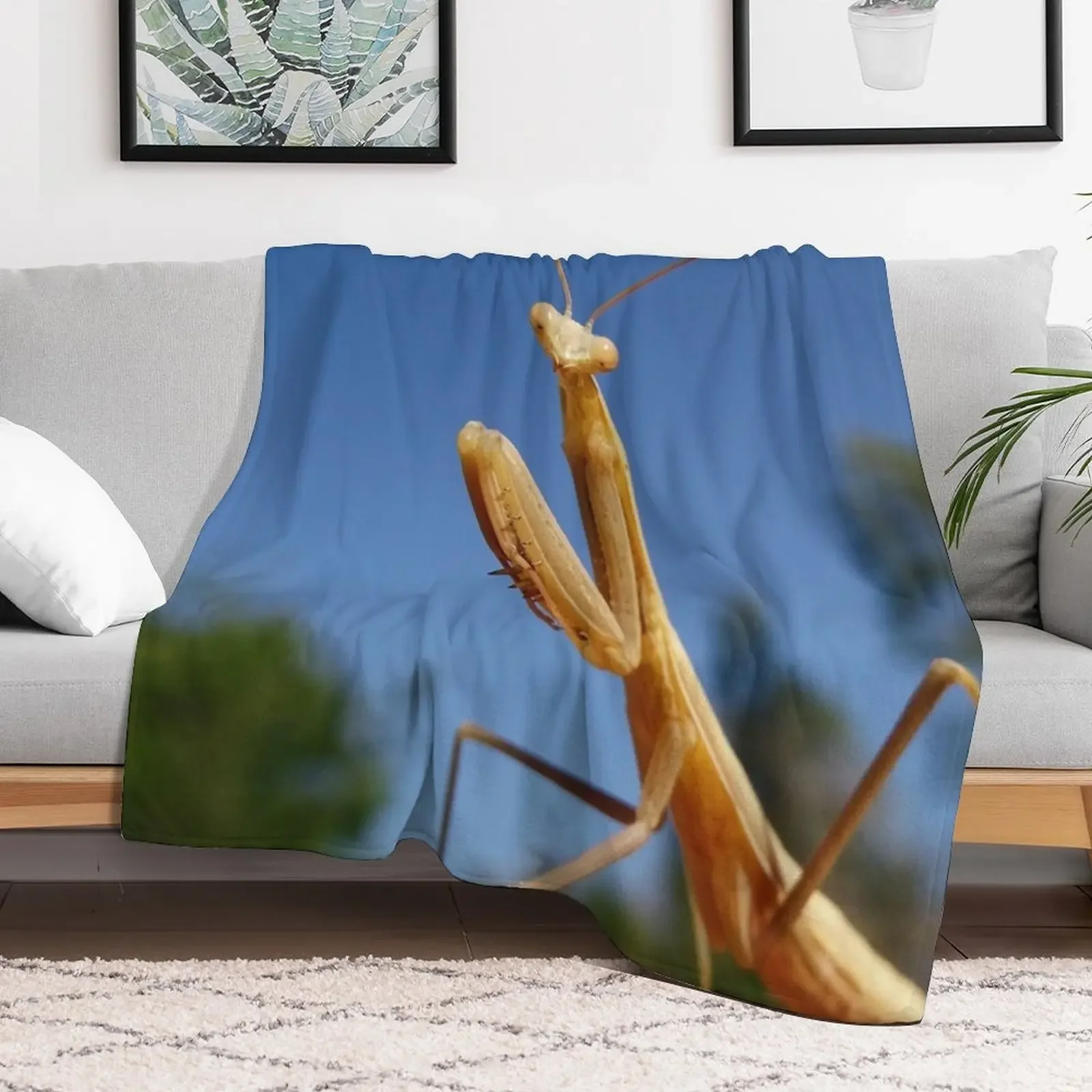 Praying mantis Throw Blanket All Weather Soft Throw Blanket for Sofa