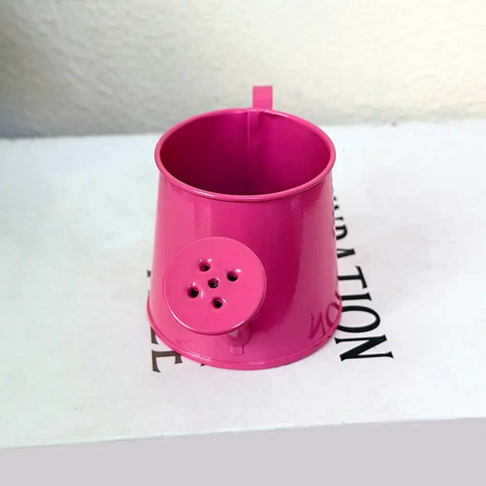 

Mini Watering Can Metal Vintage Watering Pot with Long Spout Small Watering Can for Indoor Plants Home Decoration