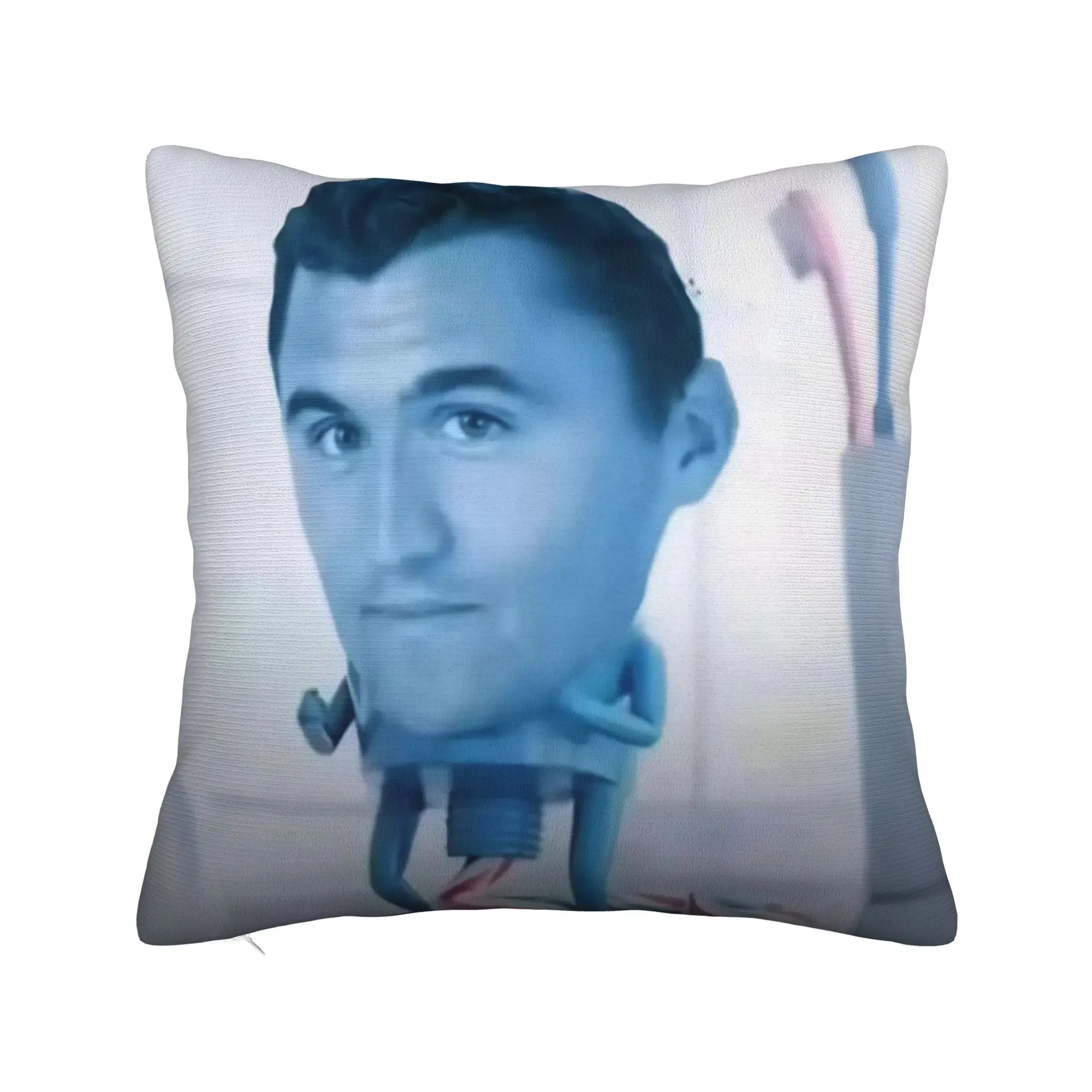Stylish Sofa Charlie Kirk funny meme Decorations Pillowcase Merch  Pillow Covers Zippered Multi-Size
