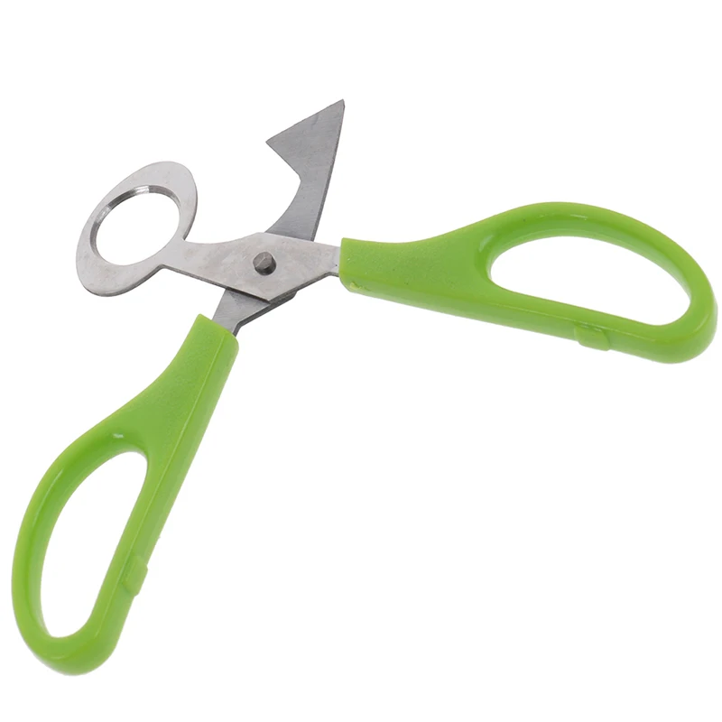 Pigeon Quail Egg Scissor Bird Cutter Opener Egg Slicers Kitchen Tool Clipper.