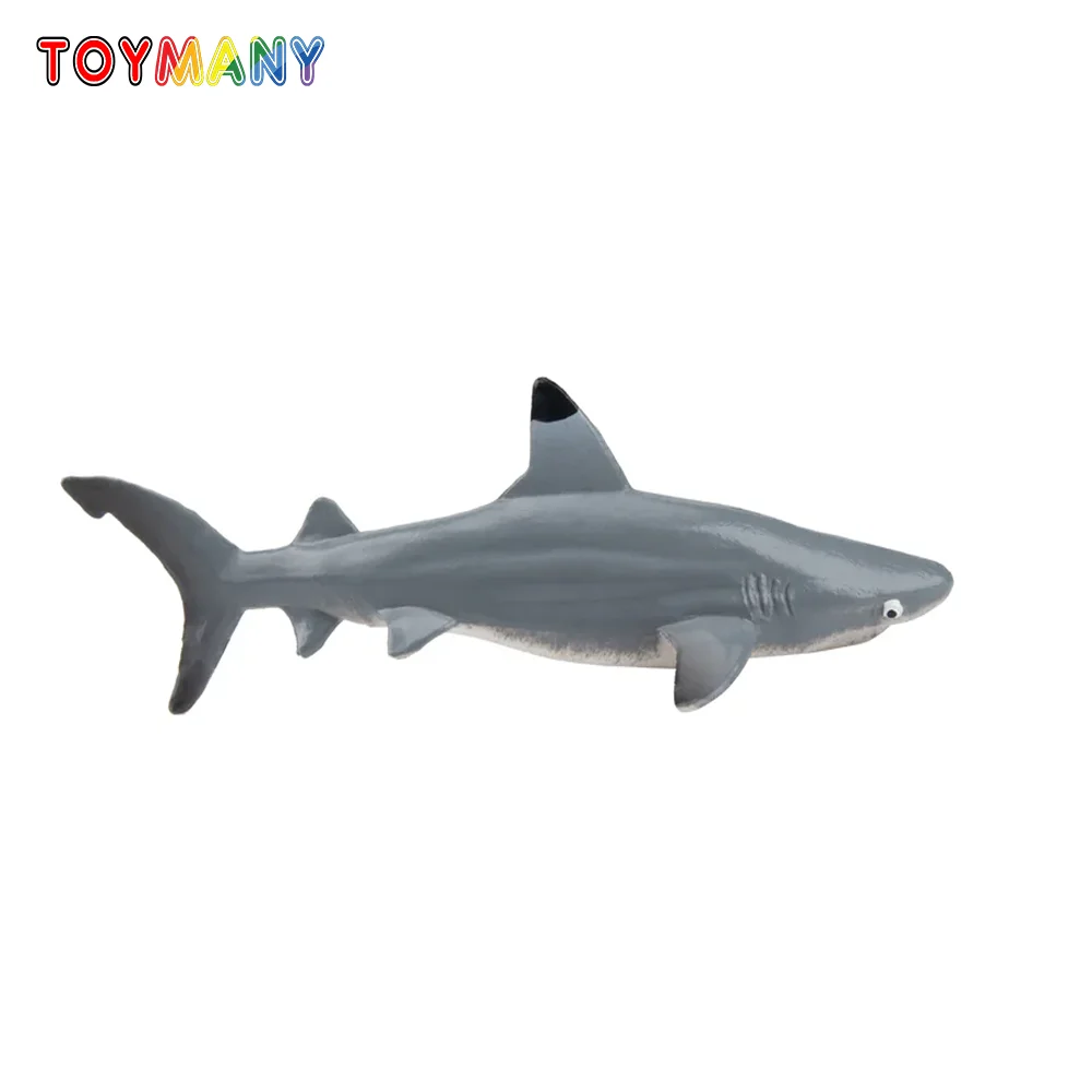 Toymany Simulatie Blacktip Reef Shark Oceaan Diermodel Speelgoed Mini Figuren Poppen Actie Beeldjes Speelgoed Kinderen Gift Cake Decor
