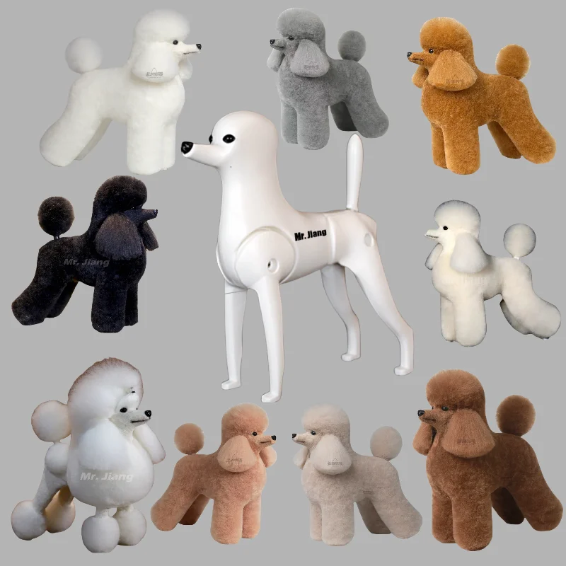 Mr.Jiang Grooming Model Dog Poodle Model Dog with Lamb Wig or