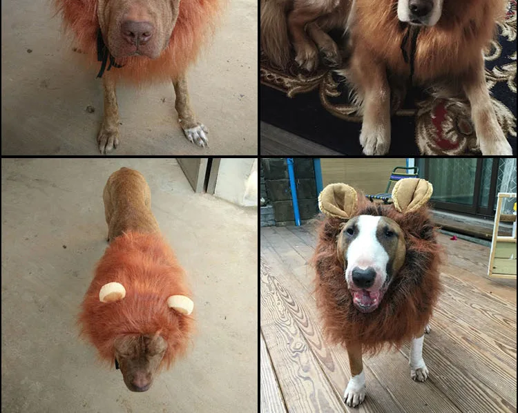 2019 new Hair Ornaments Pet dog Costume Halloween Clothes Fancy Dress Up Lion Mane Wig for Large Dogs supplies