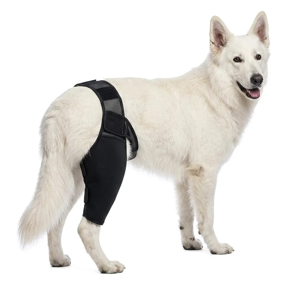 Verstellbare Hinterbeinbandage für Hunde, Kniegelenkstütze für große Hunde, Hinterbeinschutz, Erholungshülle bei Verletzungen und Arthritis – Detail 4