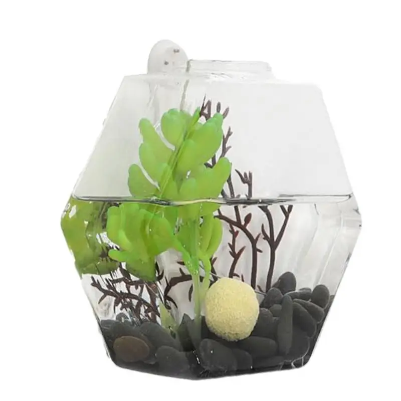 Wall Geometric Hexagon Glass Terrarium Box Succulent Plant Planter Hanging Flower Pot Vertical Garden Bonsai Terrarium Flowerpot