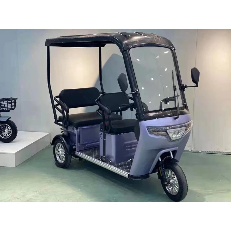 

650W Adult Tricycle With Roof