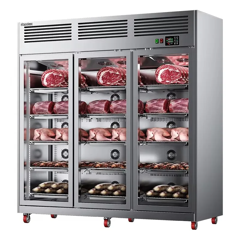 FL Electric Field Defrosting Cabinet Fresh Defrosting Cabinet Multifunctional Electric Field Electrostatic Defrosting Customized