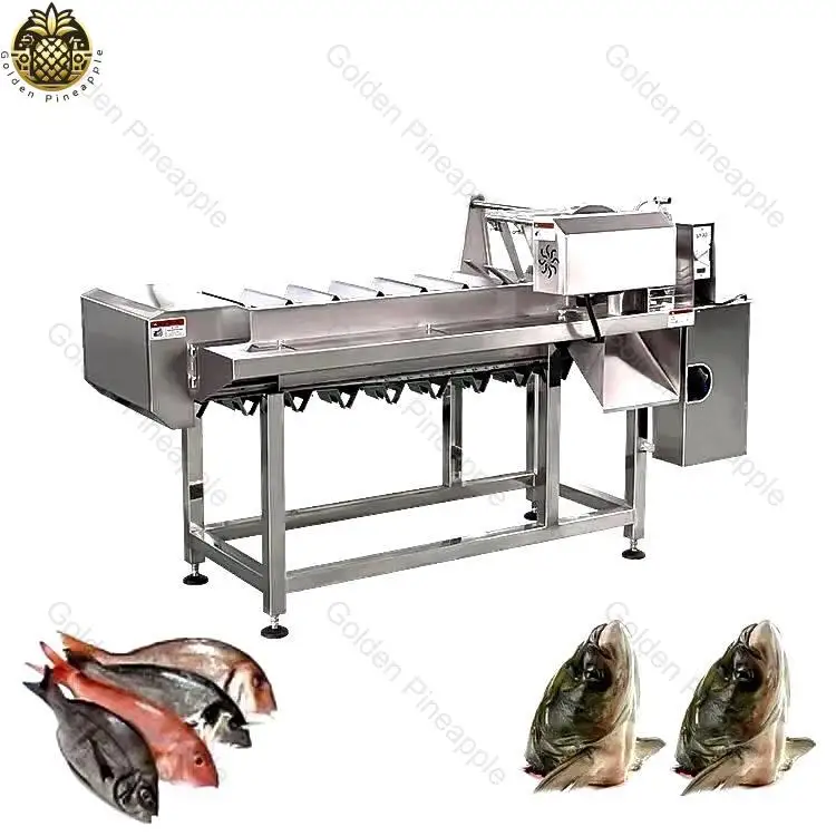 

Adjustable Speed Automatic Sardine Fish Head and Tail Cutter.