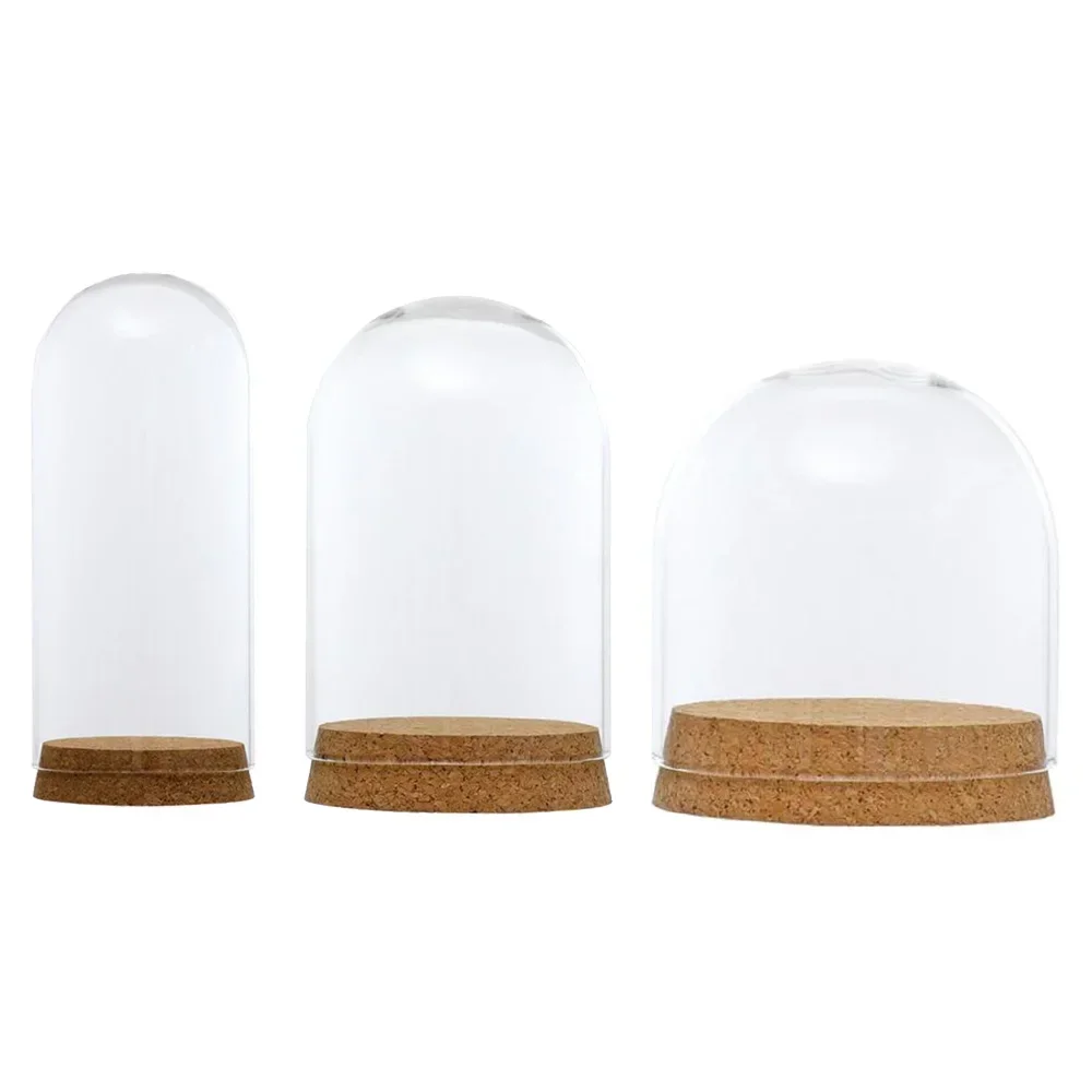 Home Base Cover Dome Everlasting Jar Glass Display Vases Flower Cloche Decor Preservation Immortal Bell Wooden