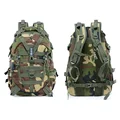 Jungle Camo