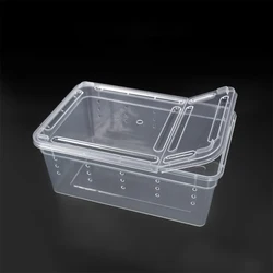 1PC 19cmx12.5cmx7.5cm Terrarium For Reptiles Spider Transparent Plastic Feeding Box Insect Food Feeding Container