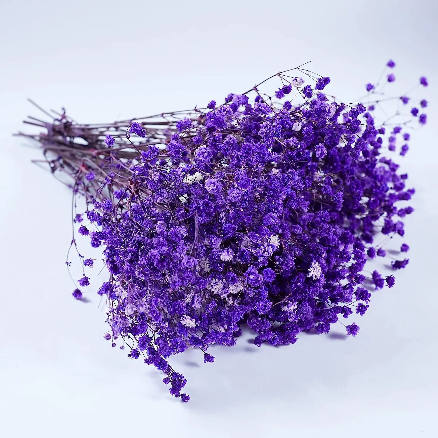 Purple Baby's Breath Dried Flowers, Home Decor, Photo Props, Parties, and Weddings.Rustic, Bohe,Romantic Decor Styles.DIY Crafts