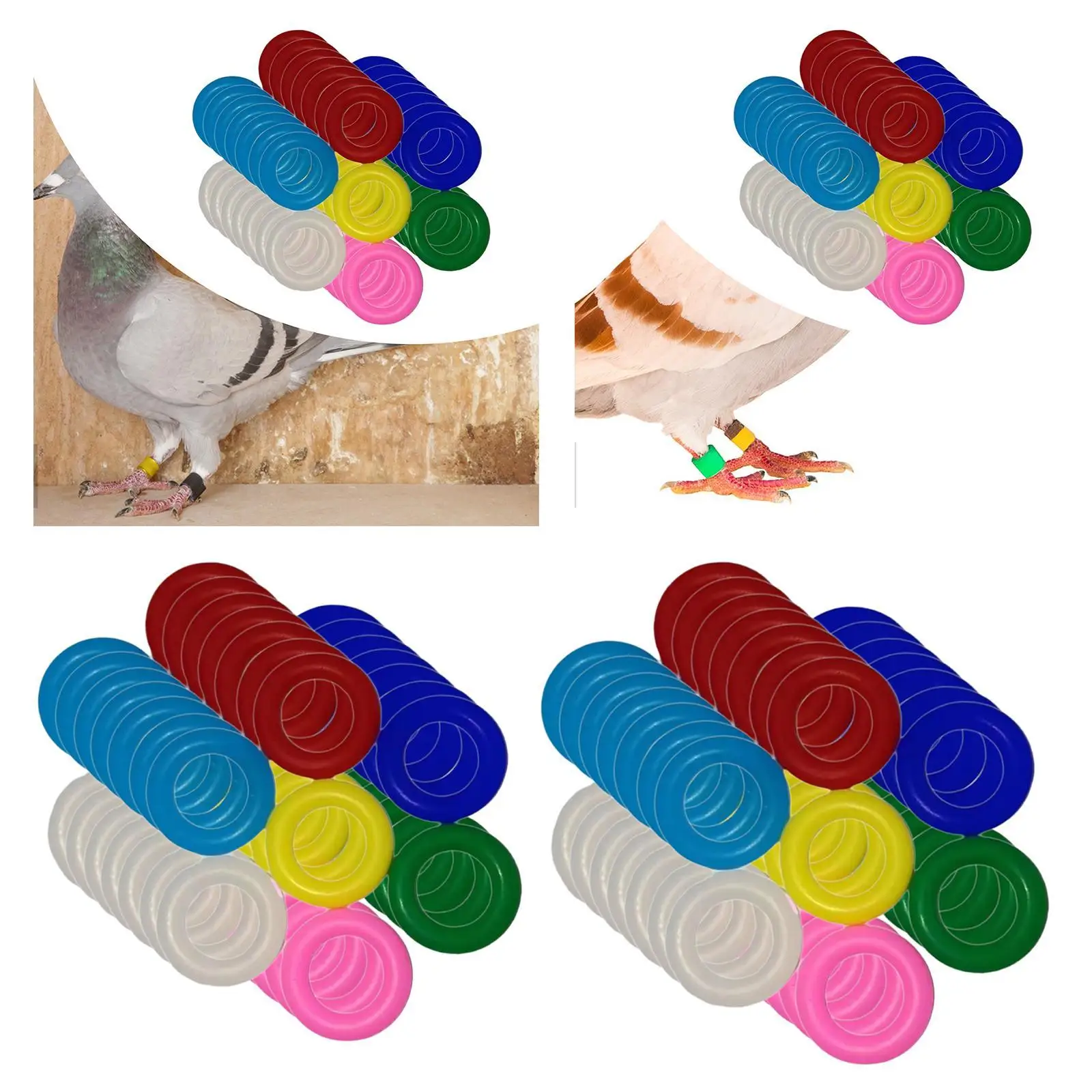 100 Pieces Bird Foot Rings Identification Foot Rings Mixed Color Foot Label Rings Markers Foot Bands for Chickens Peonies