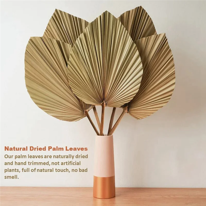 4 pezzi di foglie di palma essiccate naturali sono perfette per la decorazione di foglie di palma, decorazioni Boho, decorazioni per la casa, matrimoni
