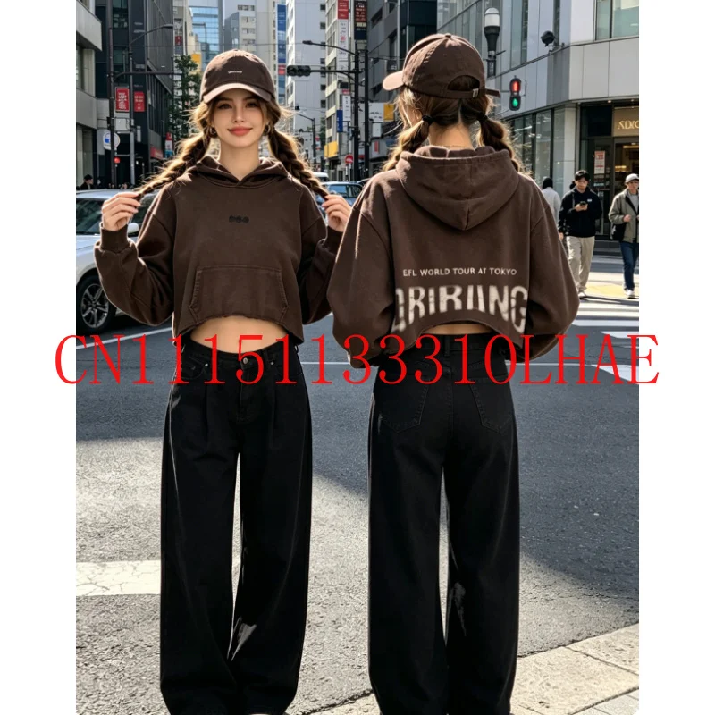 2026 Brauner gewaschener Distressed Cropped Hoodie mit ARIRANG-Print, kurzer Oversized Hoodie, lässiges Streetwear-Sweatshirt