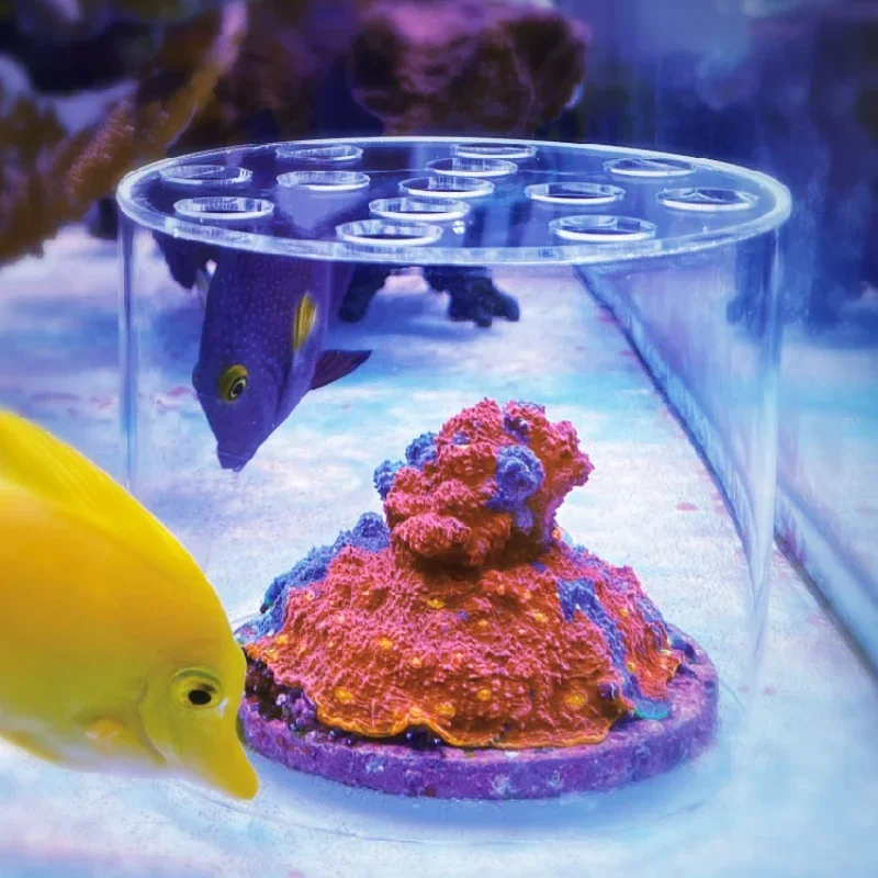 Vastocean Aquarium Arcylic Coral Feeder Hood Liquid Fertilizer Adding Tools for Reef Fresh Water Fish Tank Coral Feeding Hood