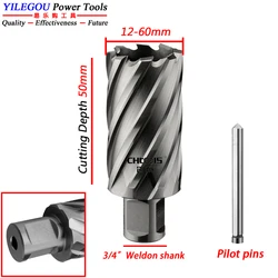 12-60mm x 50mm HSS Annular Cutter With 3/4