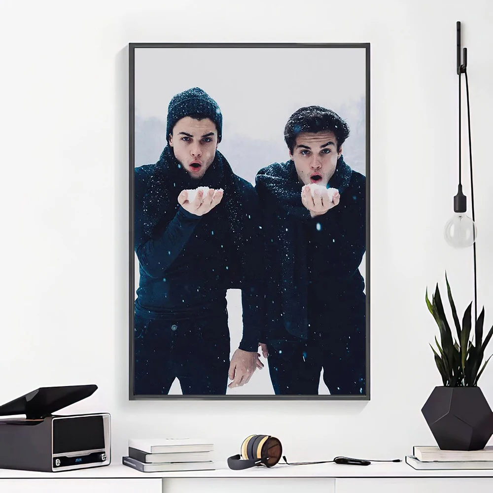 J014 Dolan Twins  Music Singer Star Silk Poster Wall Sticker Decoration Gift