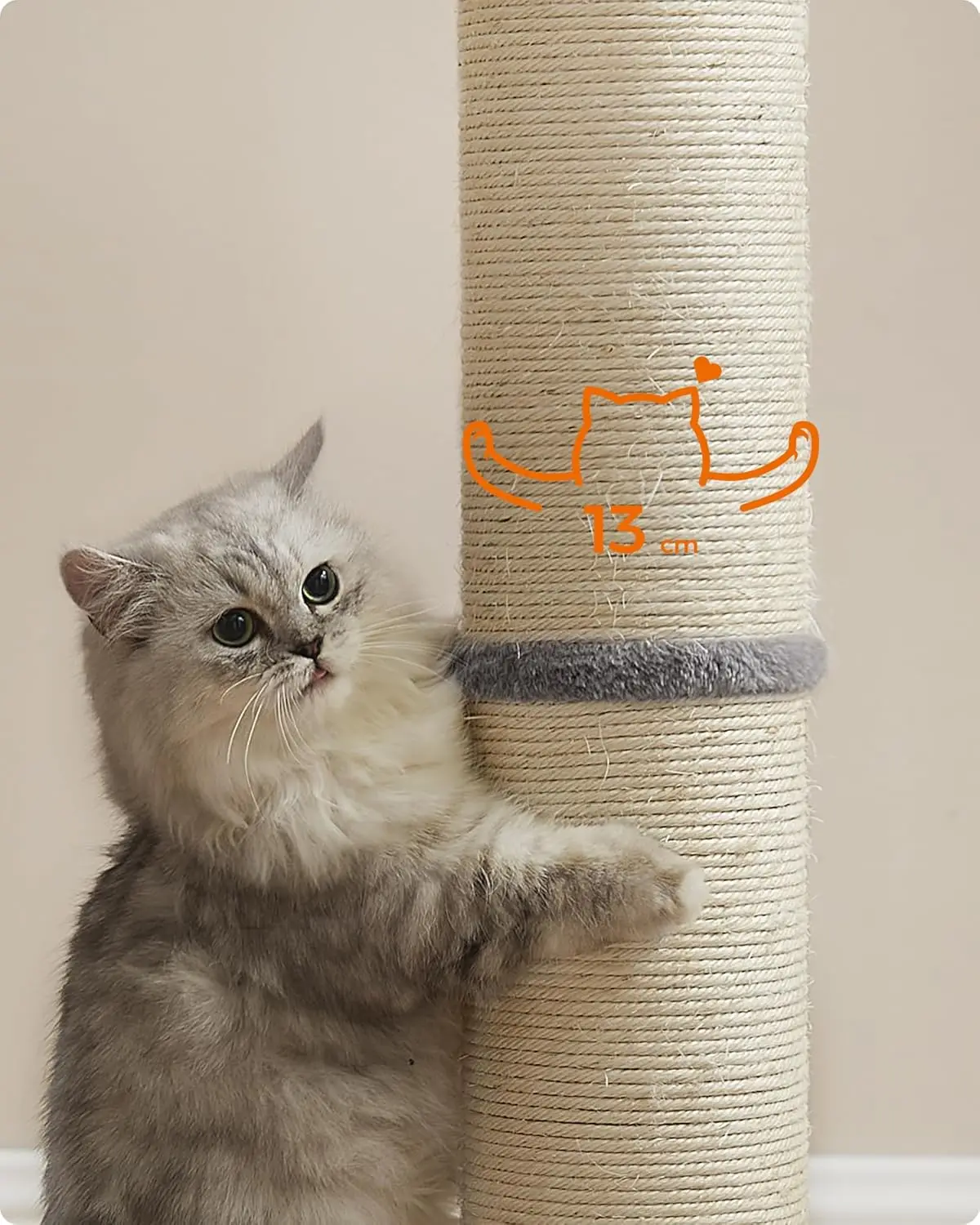 Feandrea Cat Scratching Post: 85cm Tall for Medium/Large Cats, Sisal Scratch Pole, Spring Pompom with Bell, Dove Grey.