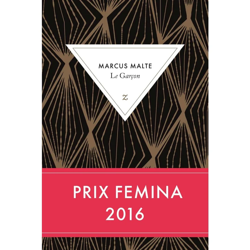 

Приз Boy Femina 2016, Маркус Малте Зульма, 9782843047602, книга