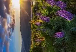 

12V Li-ion 20Ah 18650 Lithium Rechargeable Battery Pack for Sprayer Kids Electric Toy Car Scale Access Control