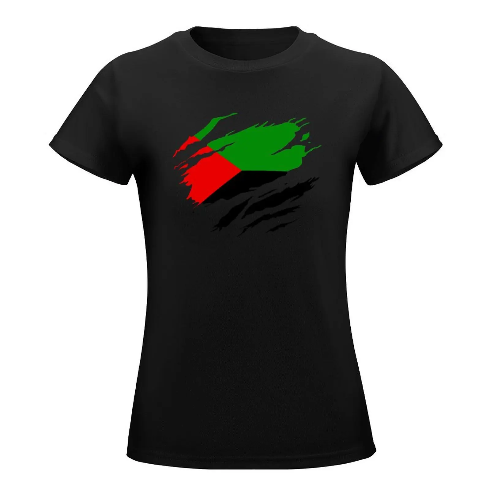 Torn Style Martinique Flag T-Shirt cute clothes heavyweights customs Summer Women's clothing