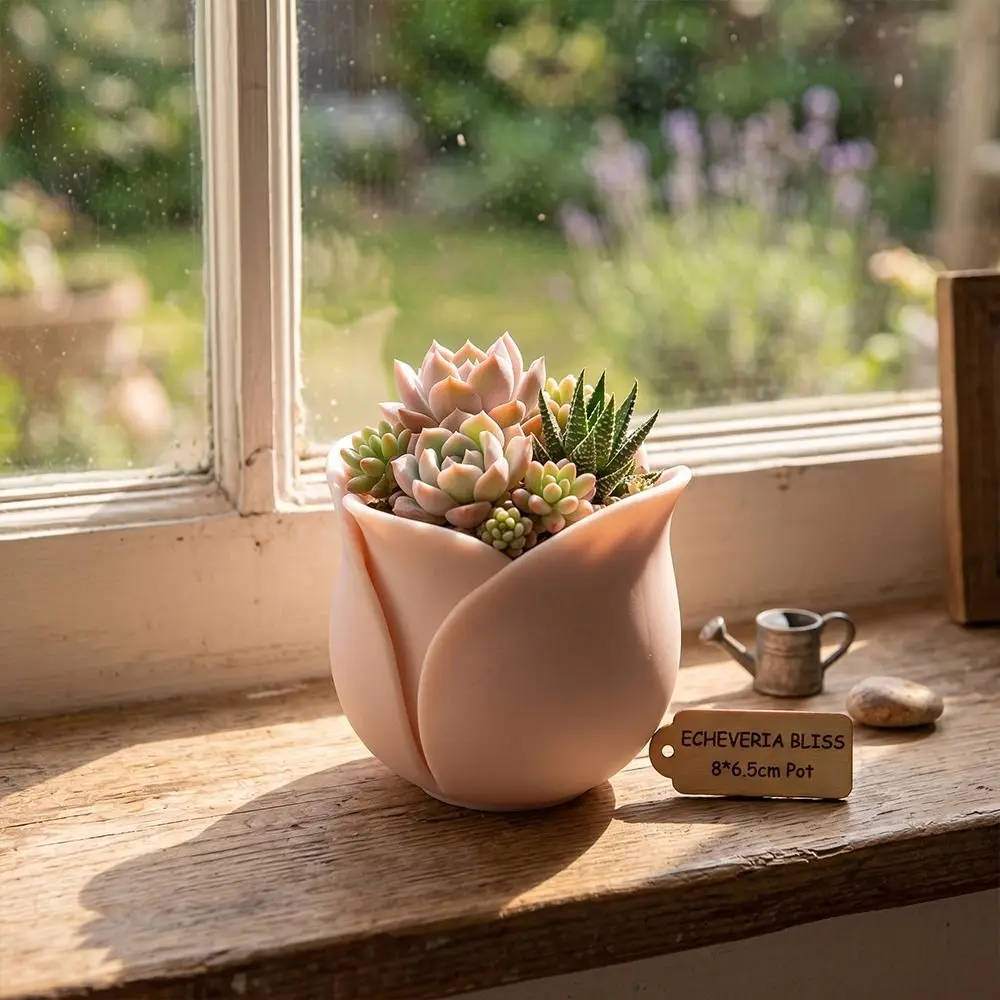 New 3D Printed Succulent Flowerpot Rose Shape Creative Succulent Basin Mini Size Plant Pot Daily Gardening