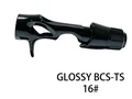 New BCS-TS