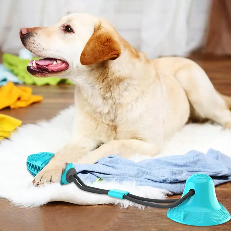 Juguetes para masticar perros, juguetes interactivos suaves para masticar, alimentador lento resistente a mordeduras, juguetes para mascotas, Bola de Limpieza de dientes de perro con ventosa para