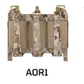 AOR1
