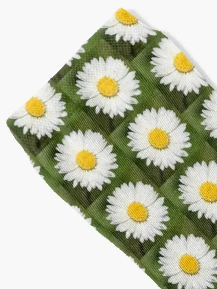 Closeup Of A Beautiful Yellow And Wild White Daisy Flower Socks football man Mens Socks Women's