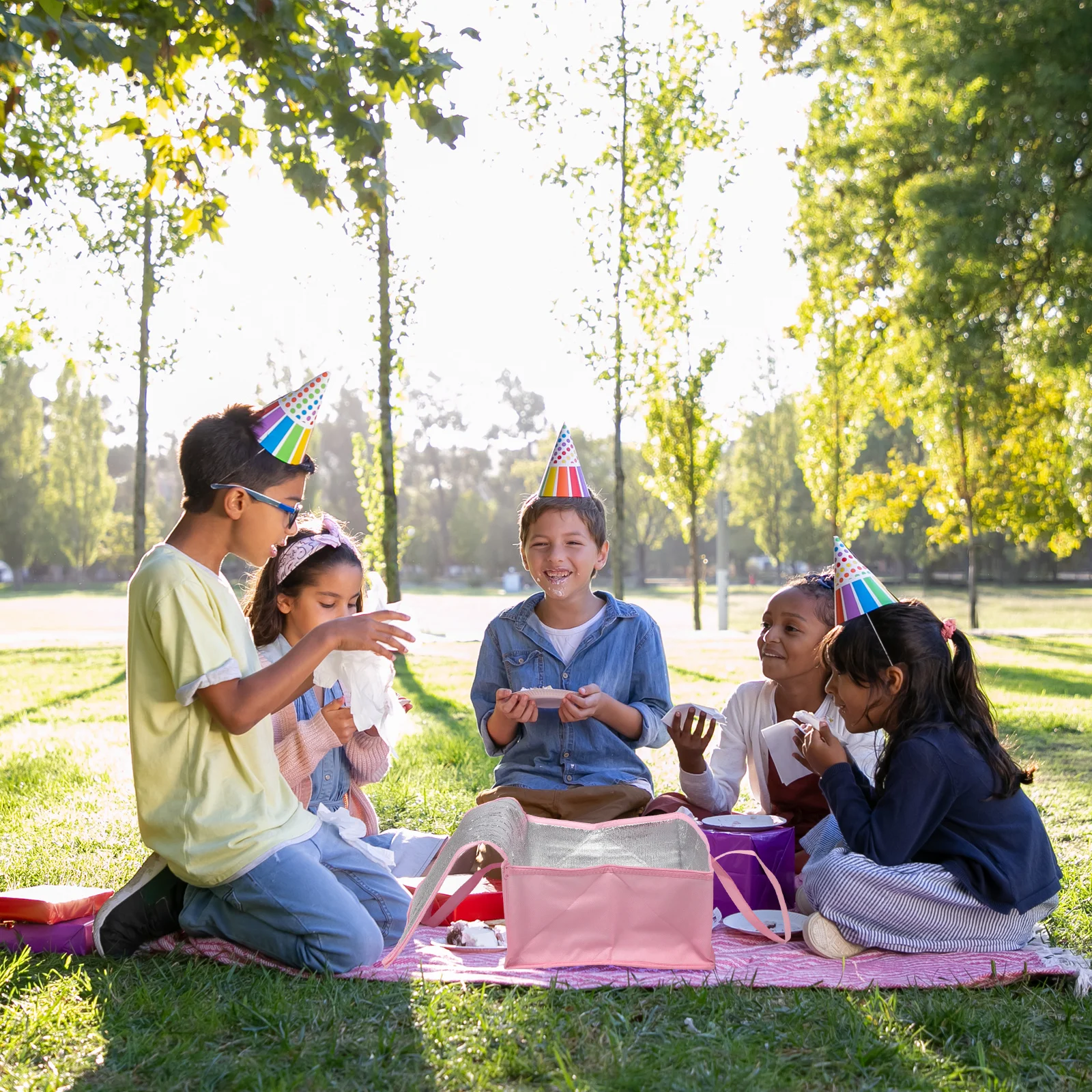

Insulated Food Bag Portable Lightweight Zippered Handle for Food Delivery Cake Takeout Picnic Travel Catering Bag