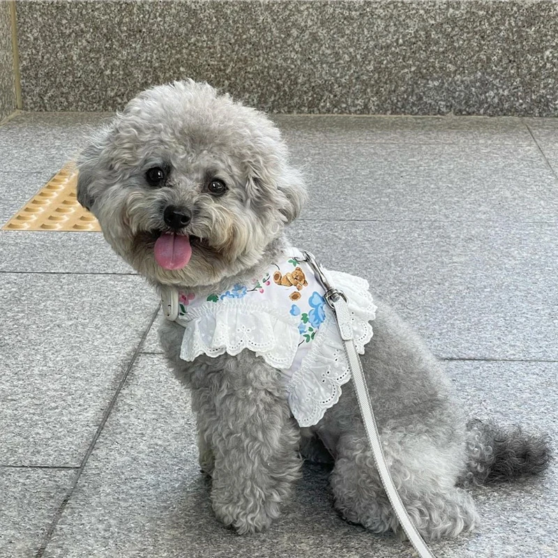 

Cute Bear Pet Harness for Small Dogs Maltese Teddy Bichon INS Korea Dog Harness Vest Leash Set with Lace Edge Dog Accessories