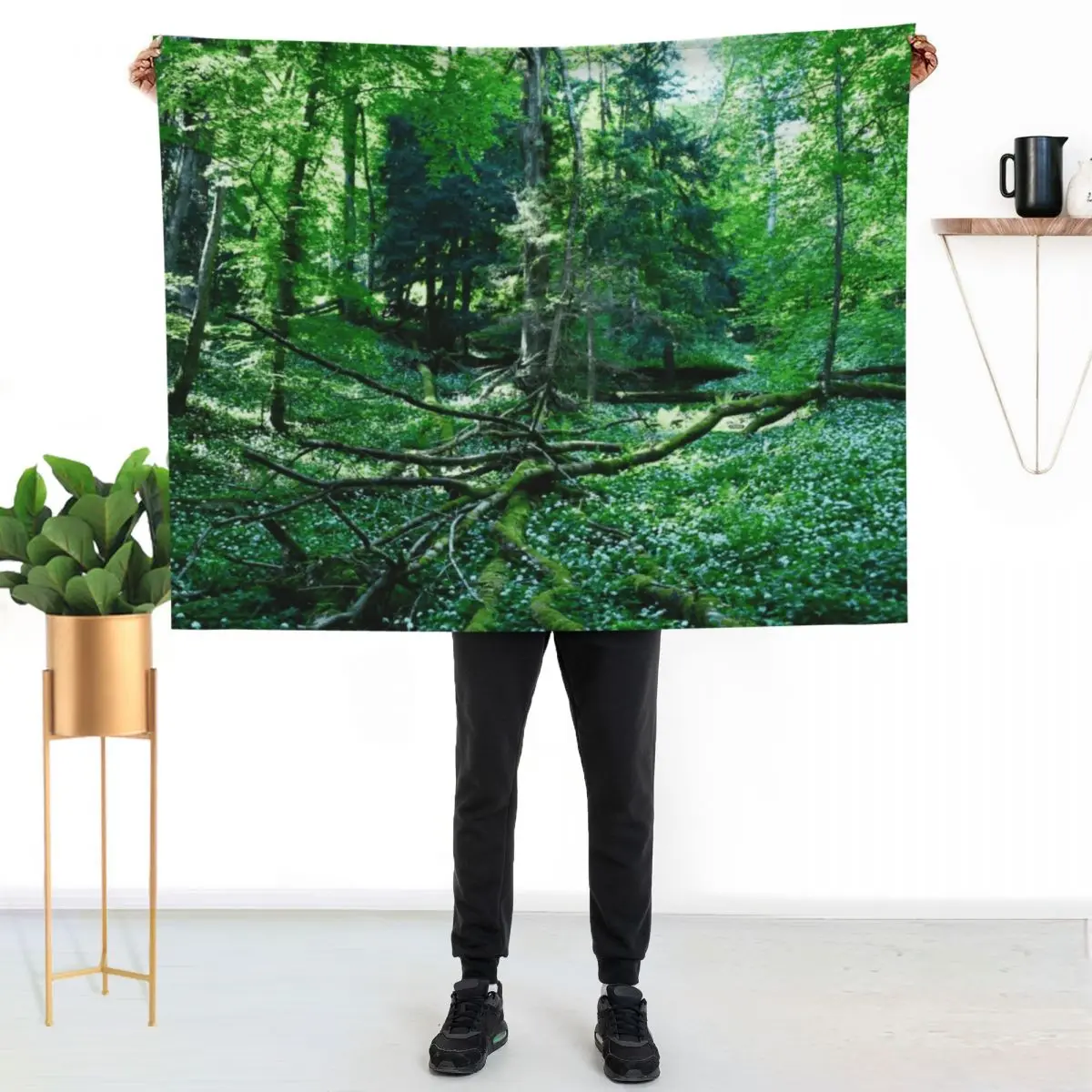 Jungle Switzerland / Swiss Artwork Photography Throw Blanket anime Thins for sofa blankets ands Nap Blankets