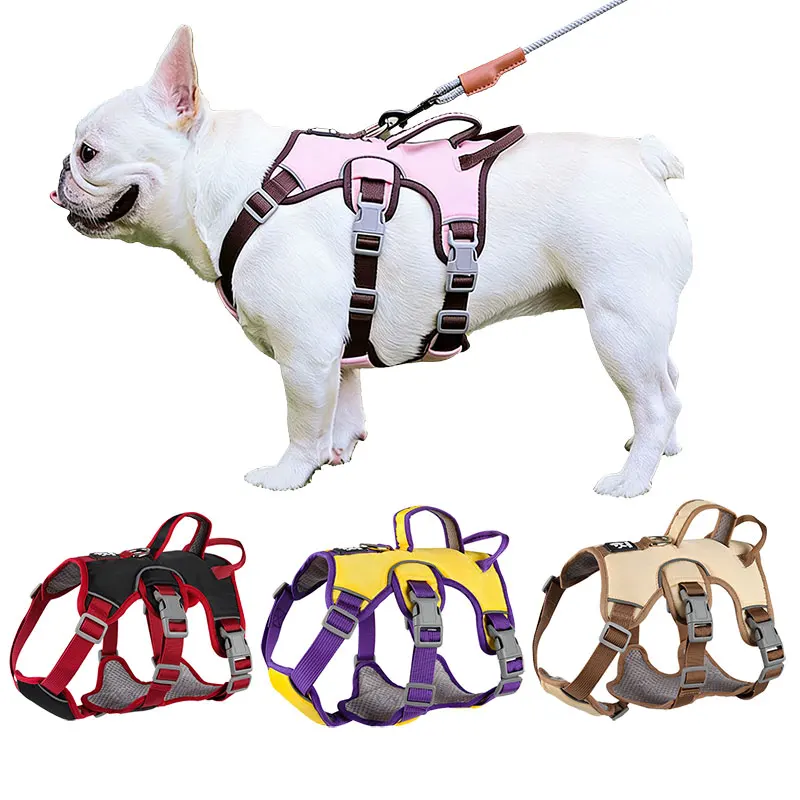 #88 Latest Dog Car Safety Harnesses Offers