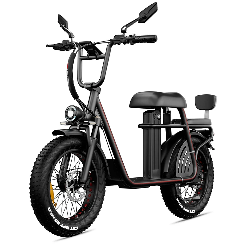 Drvetion ET20 Erwachsenen-Elektrofahrrad mit Hydraulischer Bremse, 1000W 48V 20Ah, 20*4,0 Zoll Fatbike-Reifen, Eltern-Kind-E-Bike für Reisen