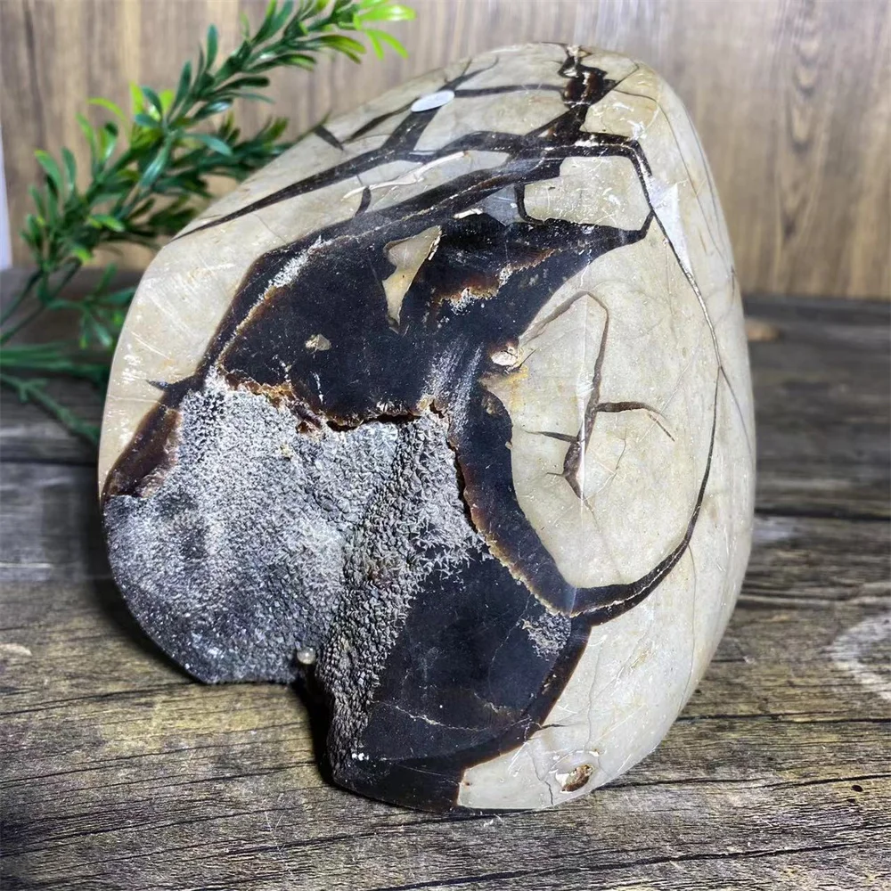 Crystal Natural Septarium Skull Carving Stone Quartz Sculpture Energy Healing Polishing Reiki Geode Home Decoration Gemstone