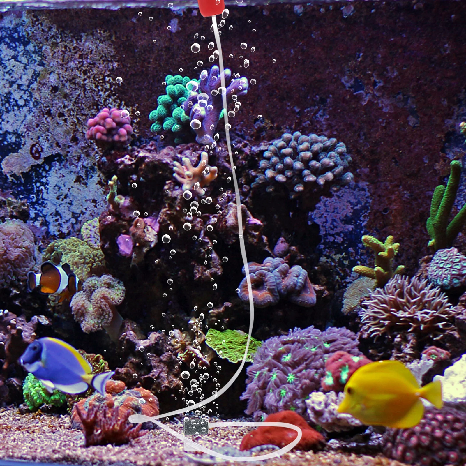 1 مجموعة المدمجة USB حوض السمك مضخة أكسجين مهوية الهواء الصغيرة المحمولة خزان الأسماك مضخة هواء البلاستيك الأكسجين أداة للمنزل حوض السمك #6