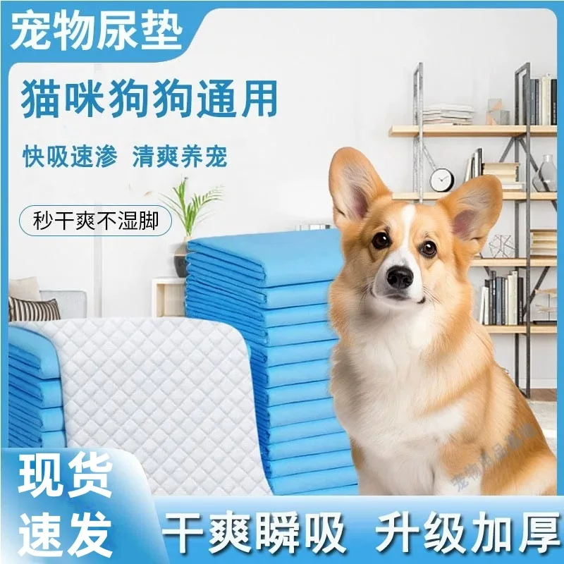 Disposable Pet Pee Pads, Thickened Bamboo Charcoal Back Adhesive, Absorbent Dog Diapers, Wholesale
