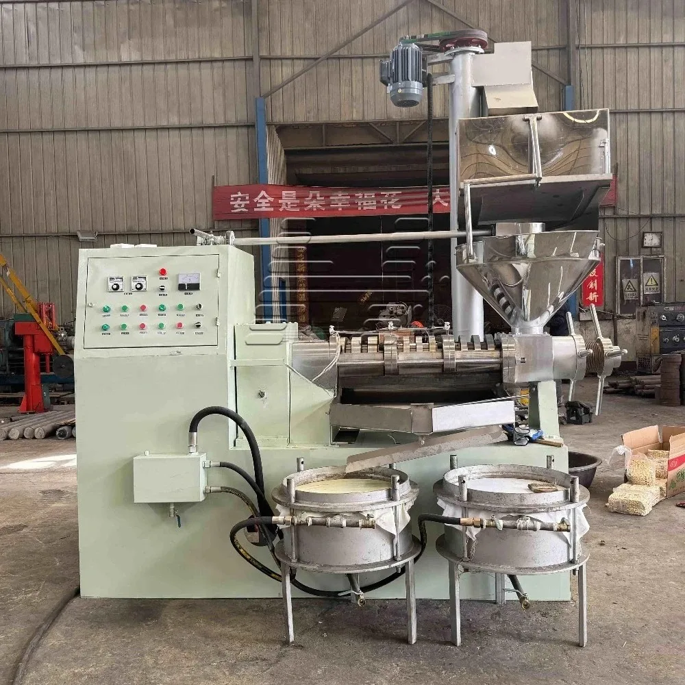 Automatic Sesame Mustard Seed Oil Press Cold Hot Press Extra Virgin Oil China Made