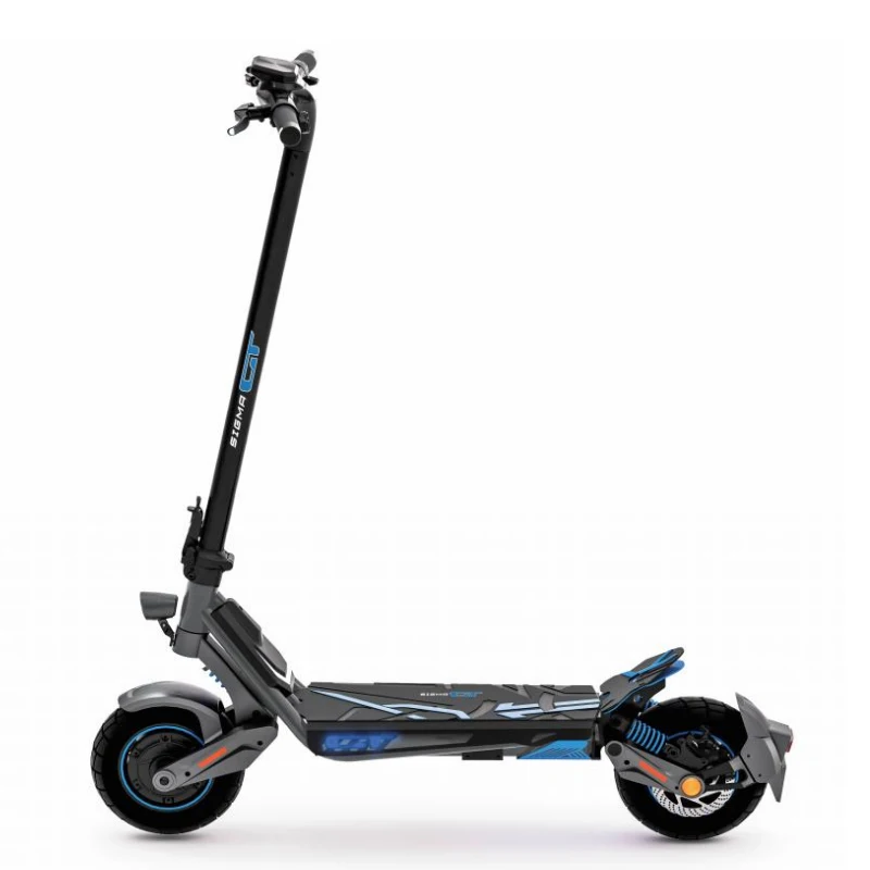 48V 1000W Modell X02 Elektroroller für Erwachsene, 55 km/h Höchstgeschwindigkeit, 70 km Reichweite, 10 Zoll schlauchlose Reifen, doppelte Federung vorne und hinten, Doppelkupplungs-Bremsen, faltbarer